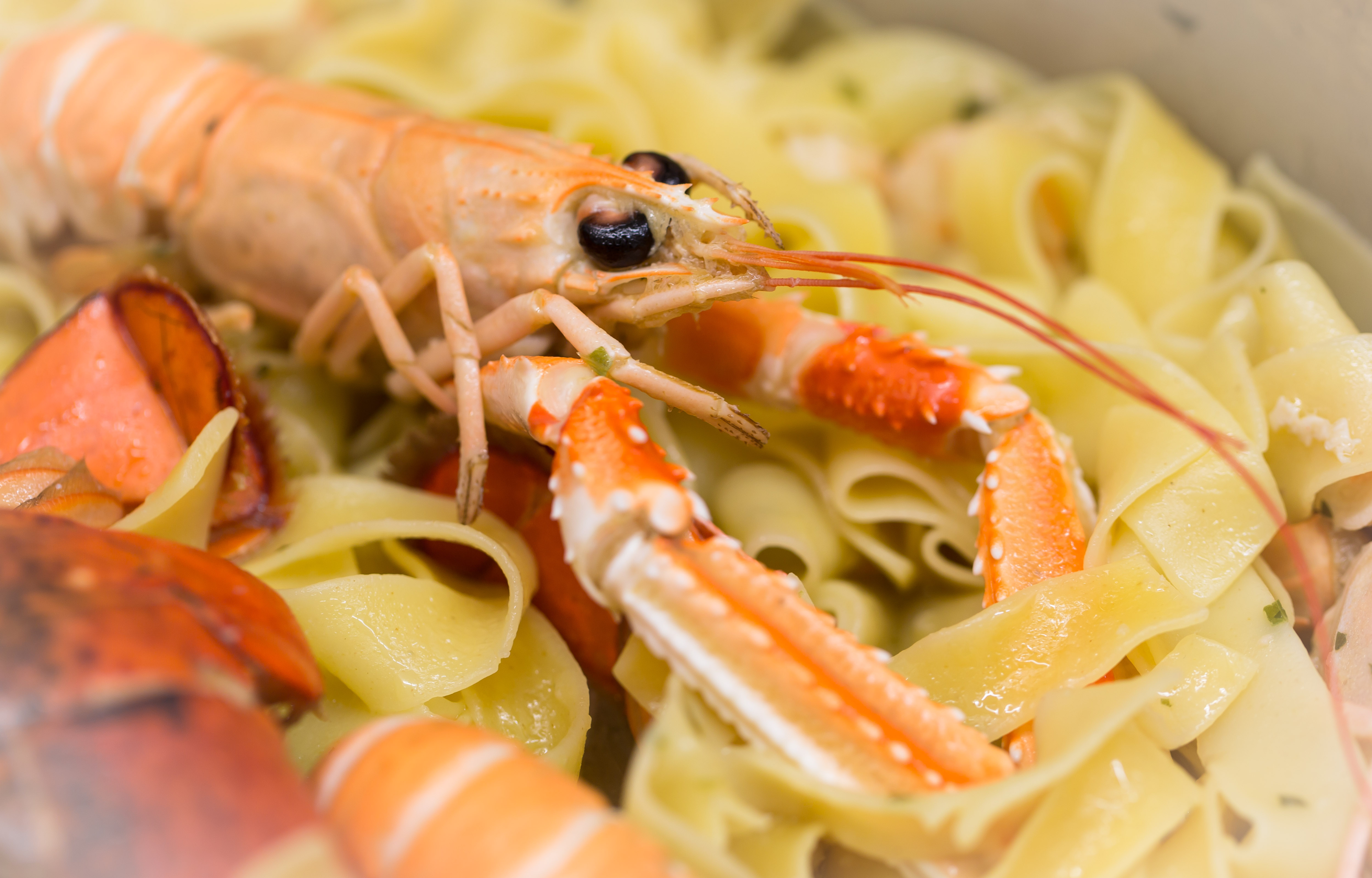 Tagliatelle con aragosta